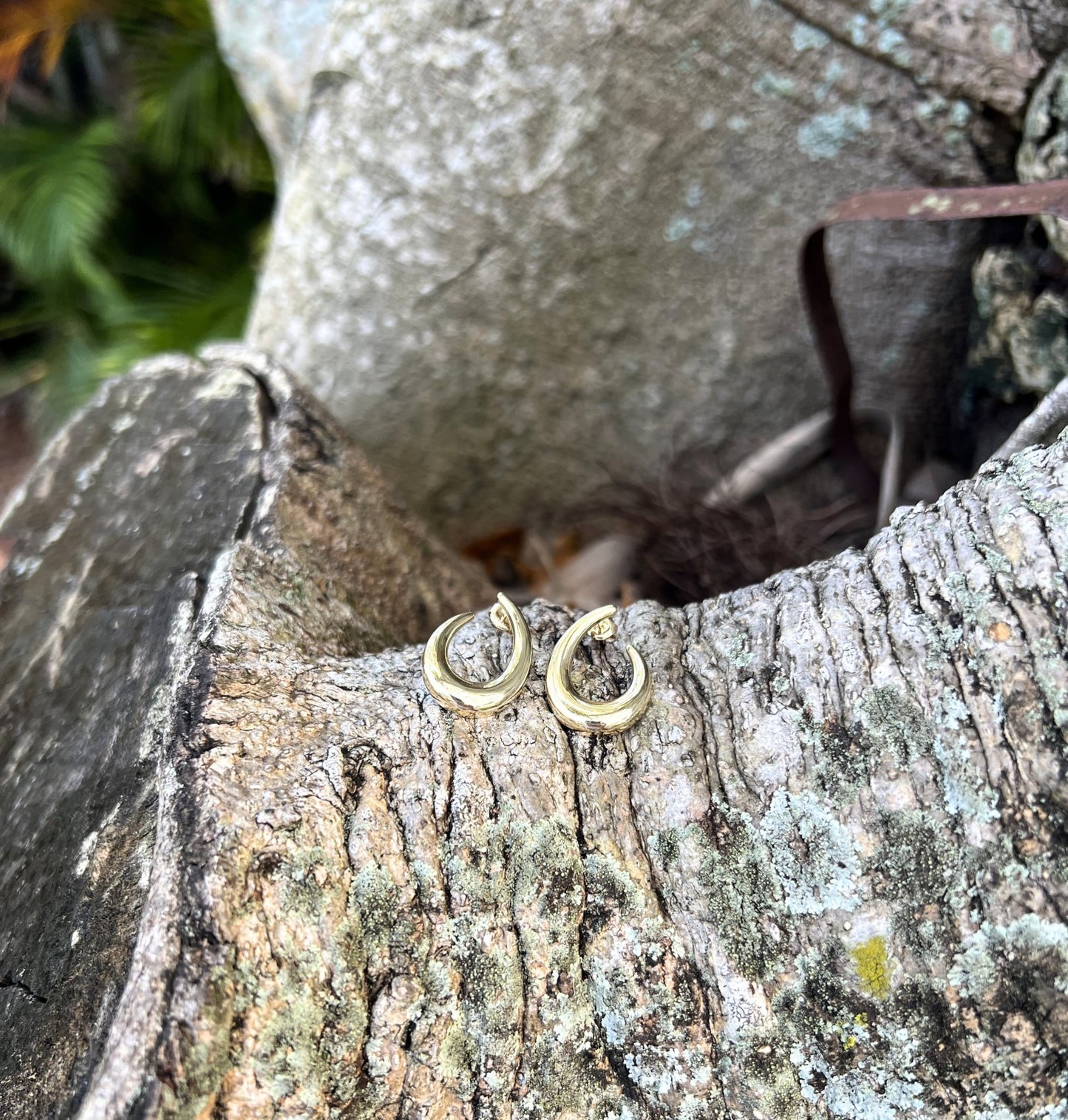 14k Gold Crescent Earrings - Contessa Fine Jewelry